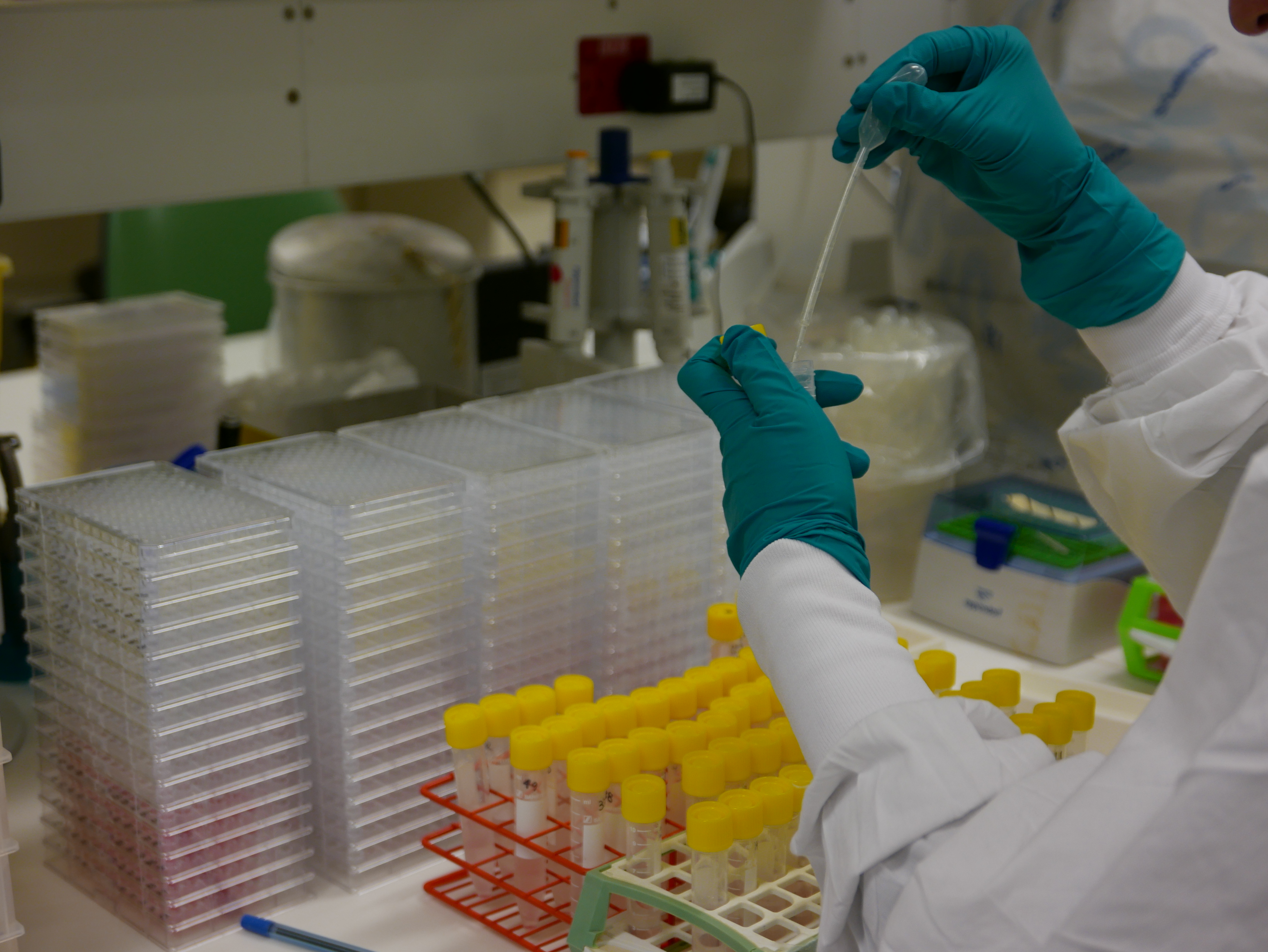 Generic Lab Tubes and Plates